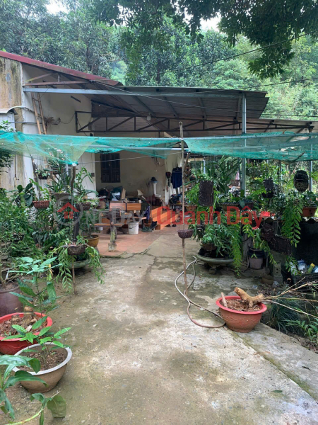 Property Search Vietnam | OneDay | Residential Sales Listings | OWNER SELLING A PREMIUM PROPERTY - Under 4 billion VND, a stunning garden house in the heart of the former Lao Cai city.