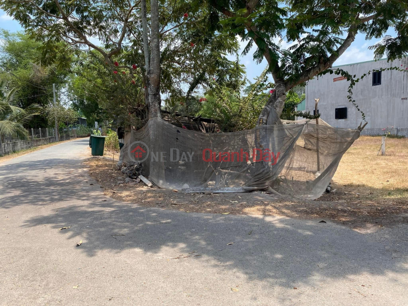 Property Search Vietnam | OneDay | Residential, Sales Listings | BEAUTIFUL LAND - GOOD PRICE Owner Needs to Sell a Lot of Land in a Good Location in Thai My Commune, Cu Chi, HCM