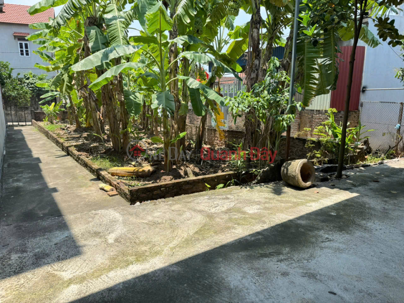 Property Search Vietnam | OneDay | Nhà ở | Niêm yết bán | Bán đất Tiến Thịnh, Mê Linh. Lô góc, 3 mặt thoáng. Gần bến phà Chu Phan