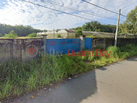 O1768 Farm for rent in Lai Hung 119, Binh Duong, 1.25 hectares, 20 million VND\/month _0