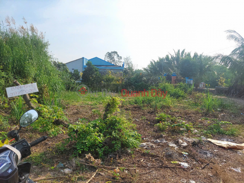 đ 620 Million, PRIME LOCATION - GREAT PRICE - Owner urgently selling a plot of land in Tan Hoa Ward, Vinh Long City.