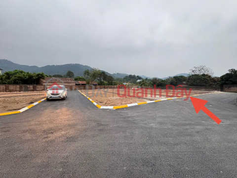 Owner urgently selling a plot of land in Phu Thinh - Minh Phu - Soc Son - 100m2 - Paved road, accessible by car. _0