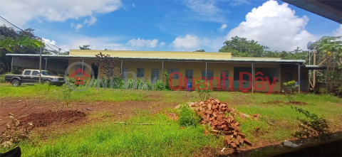 HOT HOT HOT – CHÍNH CHỦ CẦN BÁN NHANH NHÀ XƯỞNG TẠI Xã Đắk Ơ, Bù Gia Mập, Bình Phước _0