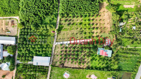 LÔ ĐẤT QH FULL THỔ CƯ 500,6M2 - NGAY MẶT TIỀN ĐƯỜNG RỘNG 5,5m TẠI SUỐI TIÊN - DIÊN KHÁNH! _0