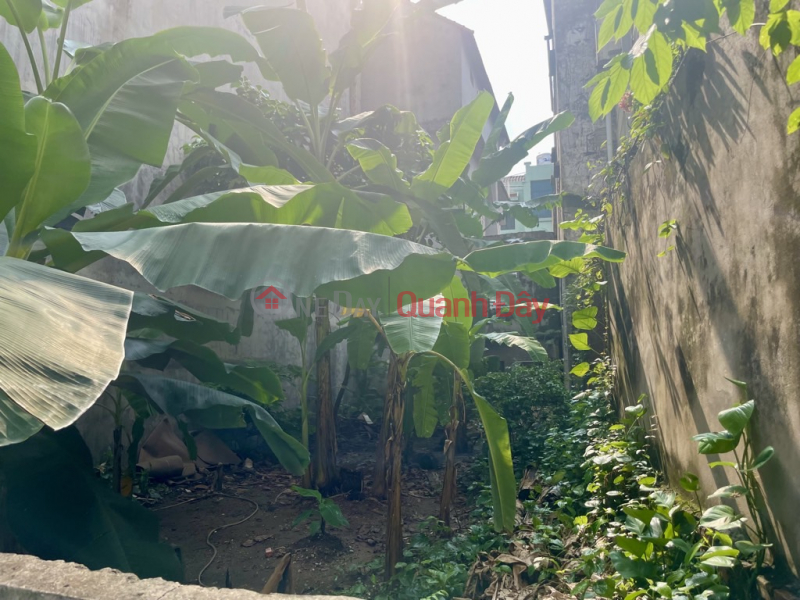 Property Search Vietnam | OneDay | Residential Sales Listings Land for sale in alley 193, Bo De, 89m x 6.6m, 1 house away from car access, investment price.