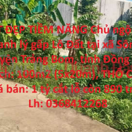 LOT OF POTENTIAL LOT OF POTENTIAL The owner of BANK needs urgent liquidation Lot of land in Trang Bom district, Dong Nai province _0