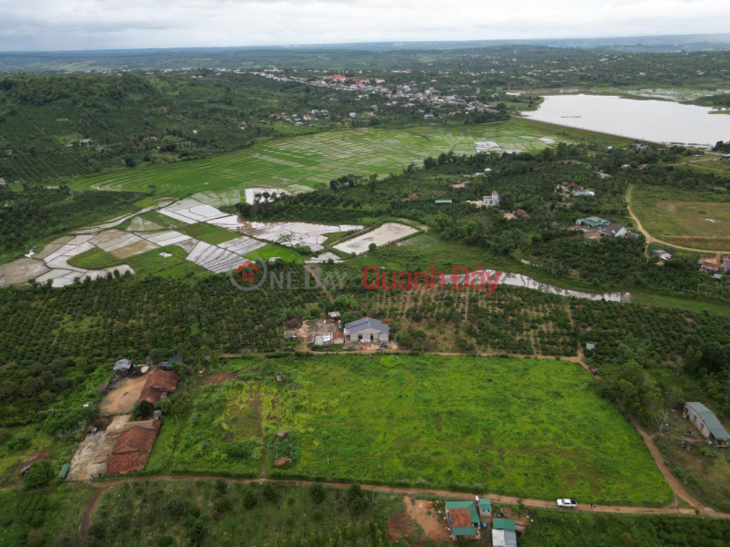 Own a Beautiful Land Lot, Prime Location In Krong Nang District, Dak Lak Sales Listings