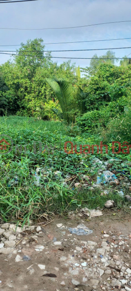 ĐẤT ĐẸP – GIÁ TỐT – CHÍNH CHỦ CẦN BÁN Tại đường Vườn Táo, Phường 7, Quận 8, HCM | Việt Nam, Bán | đ 680 triệu