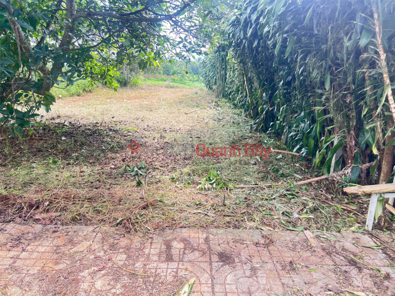 | Please Select Residential, Sales Listings đ 1.1 Billion