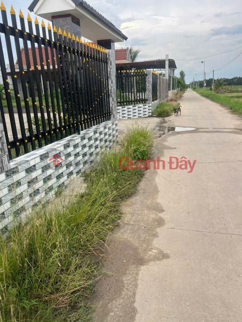 BEAUTIFUL LAND - GOOD PRICE - URGENTLY SELLING A PLOT OF POTENTIAL LAND IN BINH Thanh COMMUNE, Duc Hue, Long An _0