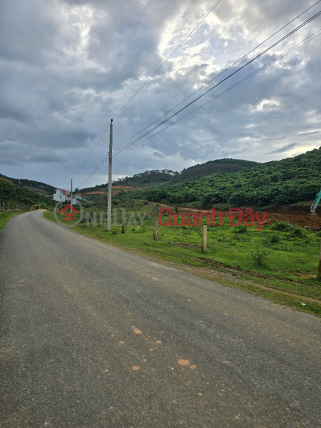 Property Search Vietnam | OneDay | Nhà ở, Niêm yết bán | ĐẤT ĐẸP –GIÁ ĐẦU TƯ – CHÍNH CHỦ CẦN BÁN ĐẤT NỀN Thị trấn Liên Nghĩa, huyện Đức Trọng, Lâm Đồng