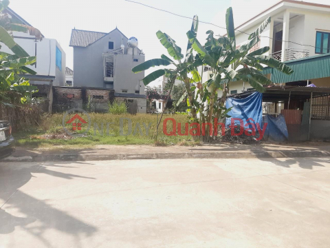 BEAUTIFUL LAND - GOOD PRICE - OWNER NEEDS MONEY TO SELL LAND LOT IN Thieu Hoa district, Thanh Hoa province _0