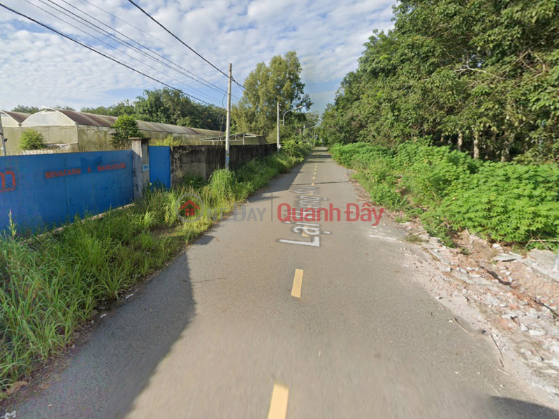 O1768 Farm for rent in Lai Hung 119, Binh Duong, 1.25 hectares, 20 million VND\\/month | Vietnam Sales | đ 20 Million