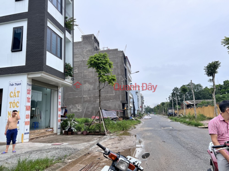 RESETTLEMENT PLOT FOR NGOC THUY (MUSHROOMS FAMP) - PINE LANE DIVISION IN CHECKSBOARD - AVOID CARS - CARS ENTER HOUSES - Sales Listings