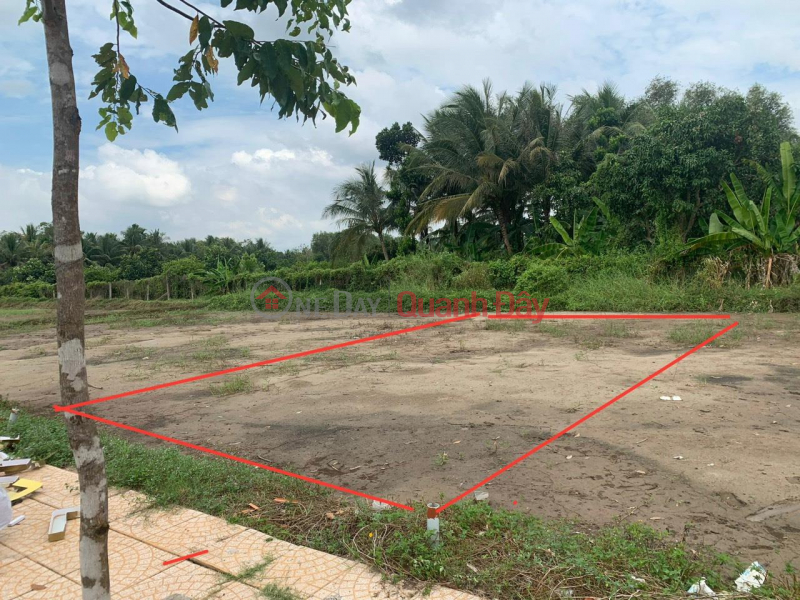 BEAUTIFUL LAND - GOOD PRICE - Owner For Sale Land Lot In Phung Hiep, Hau Giang Sales Listings