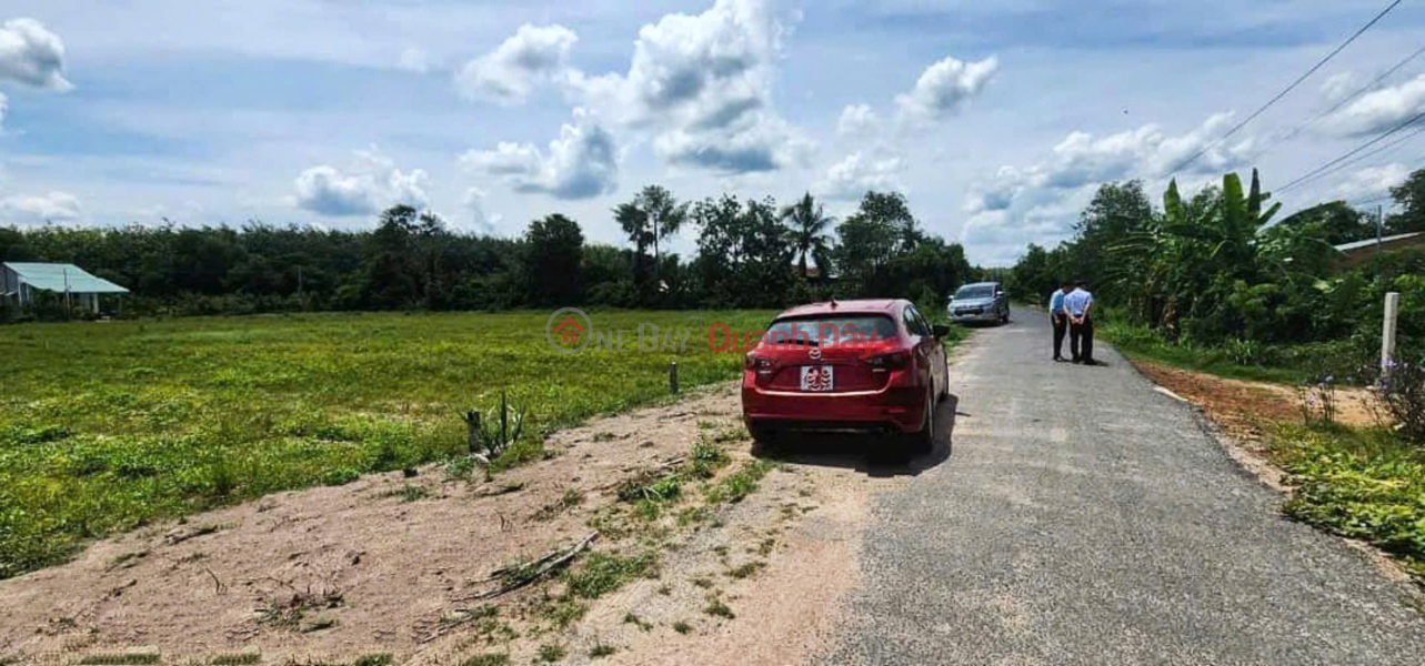 Selling 10m of land with asphalt road frontage in Thanh Binh, Tay Ninh Sales Listings