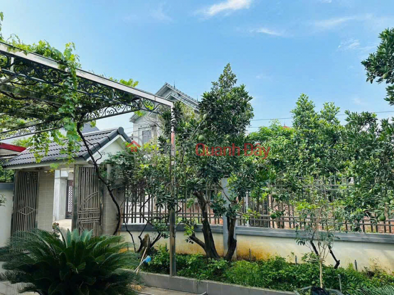 Property Search Vietnam | OneDay | Residential Sales Listings, OWNER URGENTLY SELLING VIP VILLA WITH GARDEN, 336m2 - Prime location in Tich Giang, Phuc Tho, Hanoi