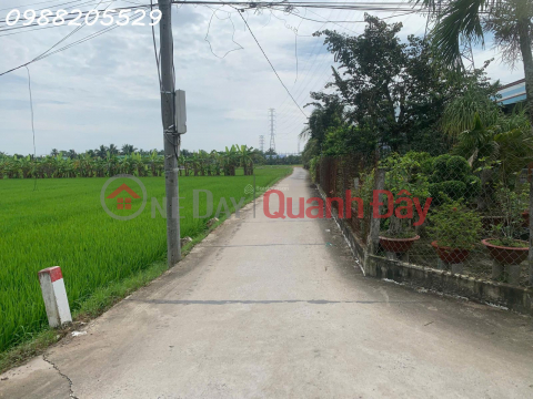 Beautiful land for sale by owner (fully residential land) - Ben Luc - area 9x25=224.6m2 - 5m concrete frontage. _0