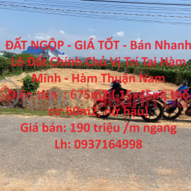 GROUNDED LAND - GOOD PRICE - Quick Sale Land Lot by Owner, Location in Ham Minh - Ham Thuan Nam _0