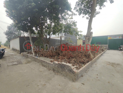 Cơ Hội Đầu Tư Cực Hiếm - Lô Góc 2 Mặt Tiền Gần Vành Đai 4 - Kim Hoa, Mê Linh _0