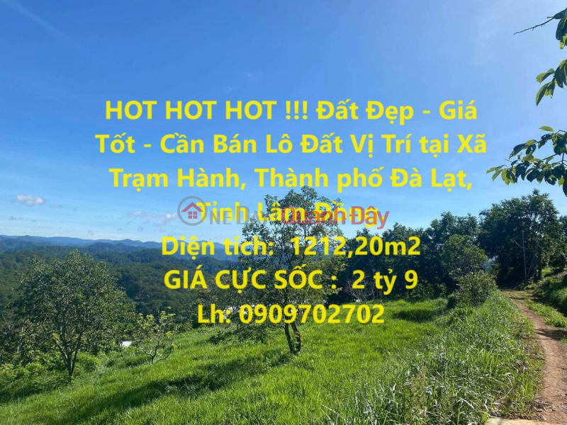 HOT HOT HOT!!! Beautiful Land - Good Price - Land Lot For Sale Location at Tram Hanh Commune, Da Lat City, Lam Dong Province. Sales Listings