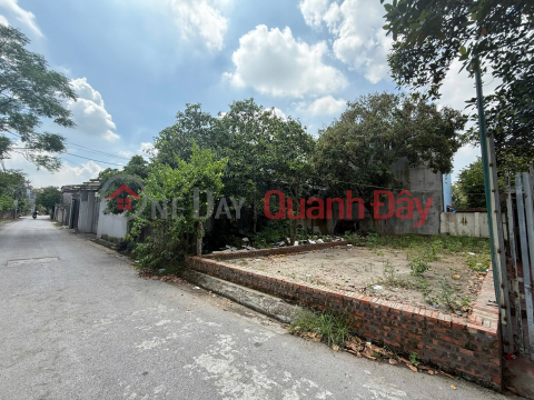 Chính chủ gửi bán hàng hiếm 100,6m bìa bắc Cổ Dương- Phúc Thịnh (Đông Anh cũ) _0