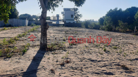 PRIME LAND - GOOD PRICE - 2 Lots For Urgent Sale In Long Hai Town, Long Dien, Ba Ria Vung Tau _0