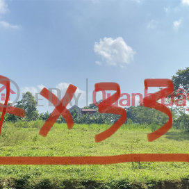 BEAUTIFUL LAND - GOOD PRICE - Owner NEEDS TO SELL FULL RESIDENTIAL LOT OF LAND IN THUONG Xuan, Thanh Hoa. _0