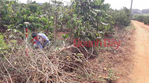 Land for sale for Homestay, Farmstay (849-5010750289)_0