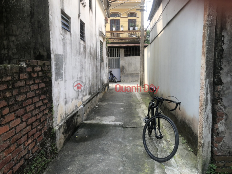 Property Search Vietnam | OneDay | Residential, Sales Listings Insolvent, need to urgently sell plot of land 47.1m2, Cho Sa village, Co Loa, Dong Anh, Hanoi, morning bus route, price only a few billion