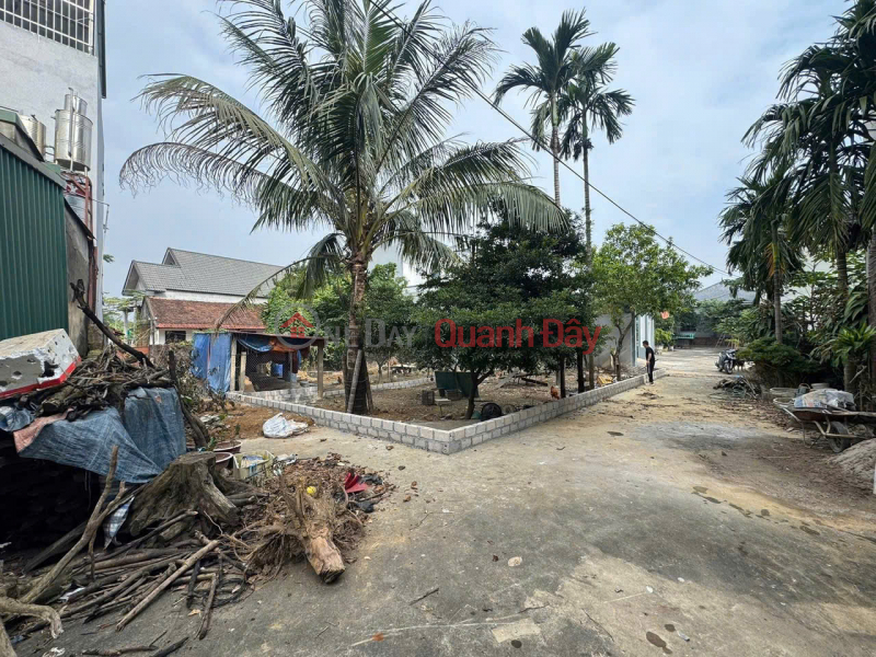 Owner selling a corner plot with full land title at Gốt Market - Phú Nghĩa, Hanoi - Car access directly to the land - Investment price Sales Listings