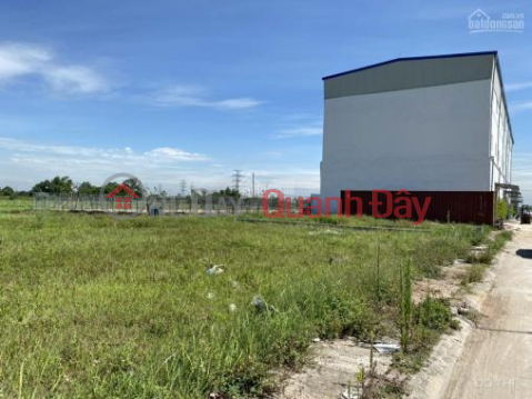 Selling 600m2 of land next to Quat Dong industrial park, Thuong Tin _0