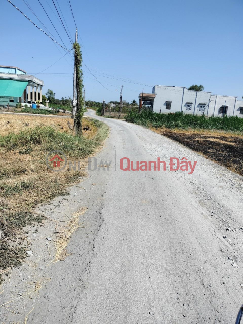 BEAUTIFUL LAND - GOOD PRICE - Owner Needs to Sell Beautiful Land Lot in Binh Phu Commune, Go Cong Tay, Tien Giang _0