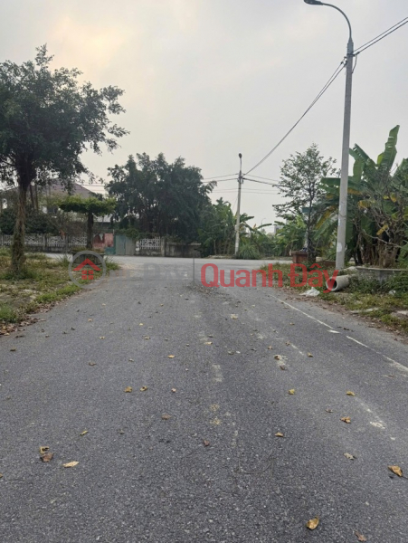 Property Search Vietnam | OneDay | Residential, Sales Listings | OWNER NEEDS MONEY – URGENT SALE OF LAND PLOT MB 3803 - Dong Son Ward, Thanh Hoa - Opposite the park