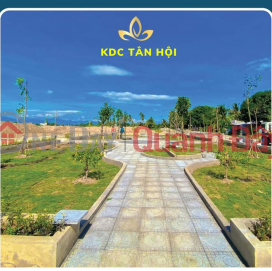 Quick sale of land plot of 100m2, MT of 5m, price 998 million right at Tan Hoi residential area near Thong Nhat street, Ho Chi Minh city. Phan Rang _0