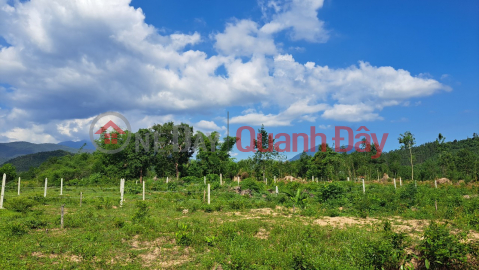 The owner needs to wholesale a full residential land plot divided into 3 lots in Khanh Binh, Khanh Vinh _0