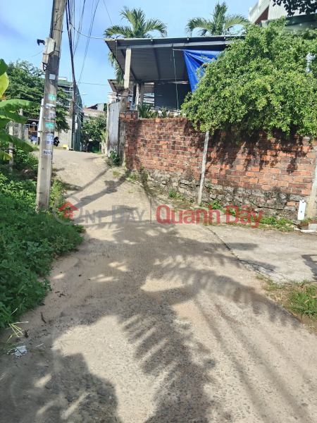 ONLY 2.5 BILLION - CORNER LOT WITH 2 STREET FRONTS - TON DAN STREET, CAM LE Vietnam, Sales | đ 2.5 Billion