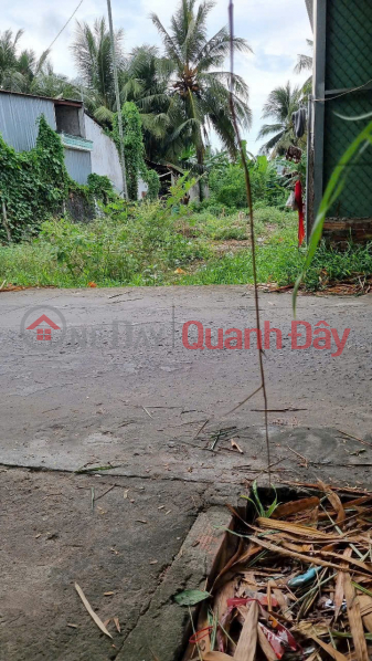 đ 3.9 Billion, BEAUTIFUL LAND - CHEAP PRICE - QUICK SALE OF 2 LOT OF LAND IN BINH THUY DISTRICT, CAN THO CITY