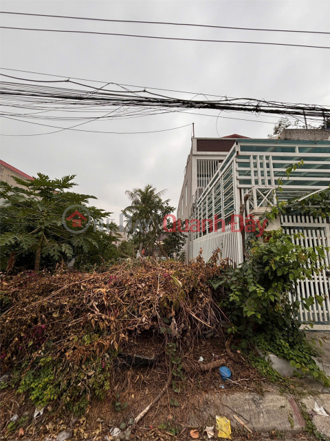 177m² Hải Thành – Mặt trục chính công viên – Đường nhựa 7,5m – Giá 2x tr/m² – Hàng vị trí trung tâm ZALO _0