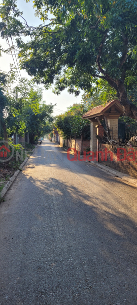 Land for sale in Le Chi 646.4m², alley 4m, 16-seat car can go around - price only 25 million\\/m², Vietnam | Sales đ 17 Billion