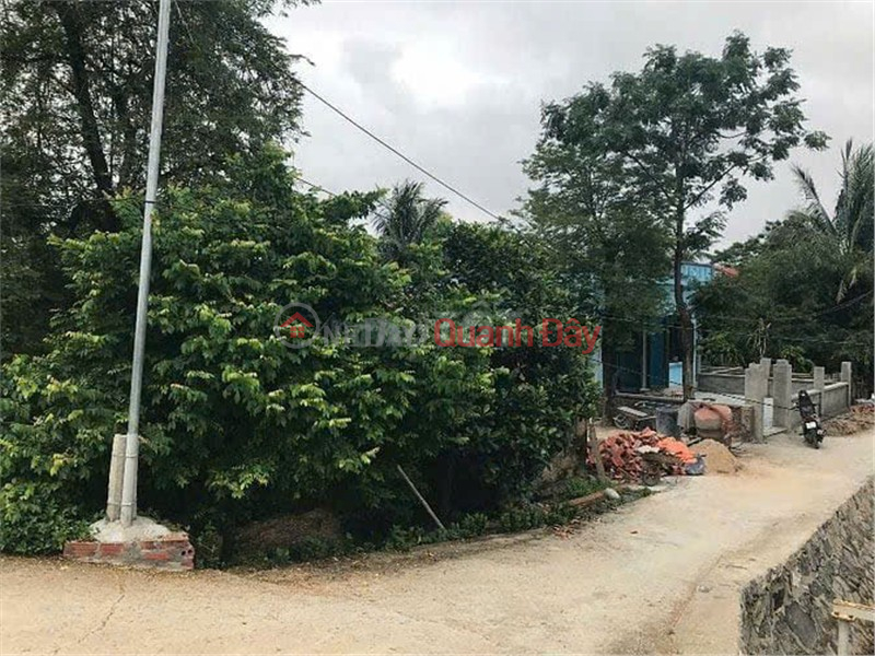 đ 7.5 Billion Owner Needs to Sell a Plot of Land in Bac Village, Phu Long Commune, Cat Hai, Hai Phong City