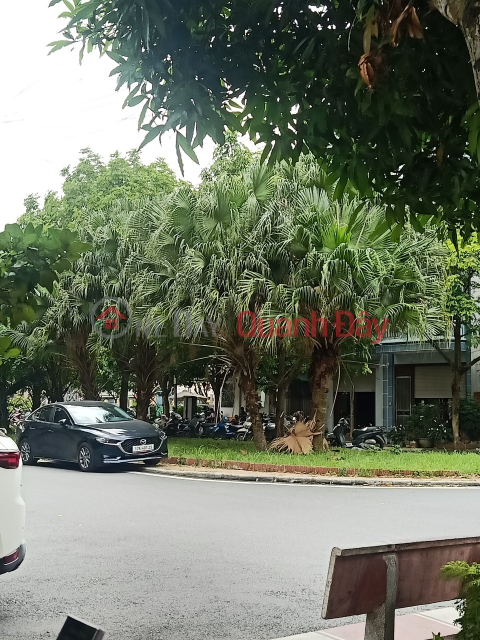 Land for sale in Tran Hung Dao urban area - Thai Binh city. Area 85 m². _0