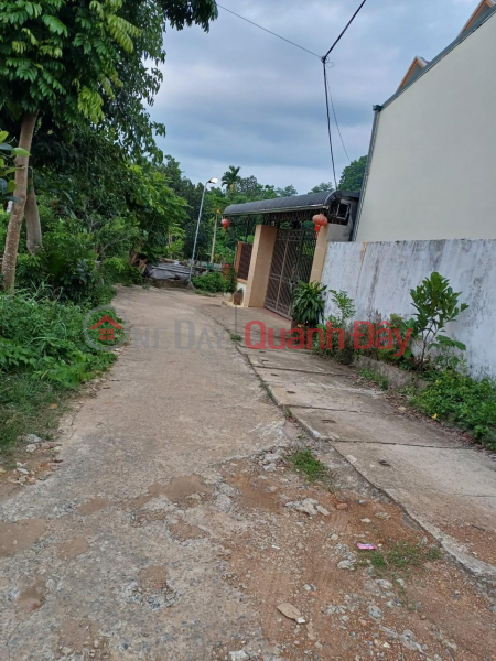 PRIMARY LAND OWNERS need to sell quickly a lot of land in a beautiful location at Group 11, Dan Chu Ward, Hoa Binh City. Sales Listings