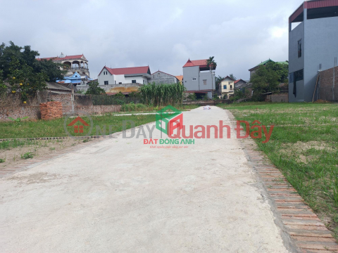 Xuan Non Dong Anh land for sale - Car on land - Only 1 billion 020 million _0