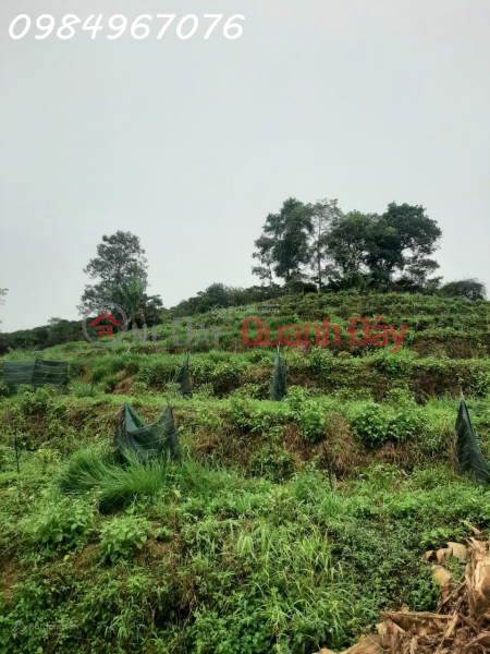 Property Search Vietnam | OneDay | Residential, Sales Listings, Selling 1.5 2.0 hectares of land with beautiful view, high profit, lots of potential in Loc Thanh, Bao Lam