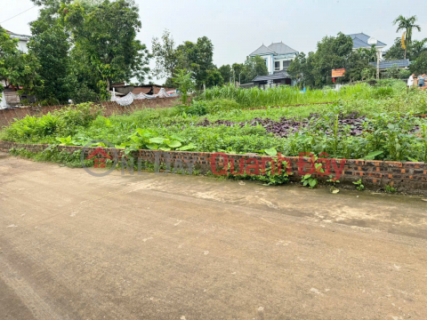Bán đất Vân Nội, Đông Anh. Đất nằm ngay mặt đường Vân Trì, mặt tiền kinh doanh đẹp _0
