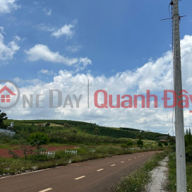 BEAUTIFUL LAND - GOOD PRICE - Owner Urgently Needs to Sell Beautiful Land Lot in Loc Quang Commune, Bao Lam District, Lam Dong Province _0