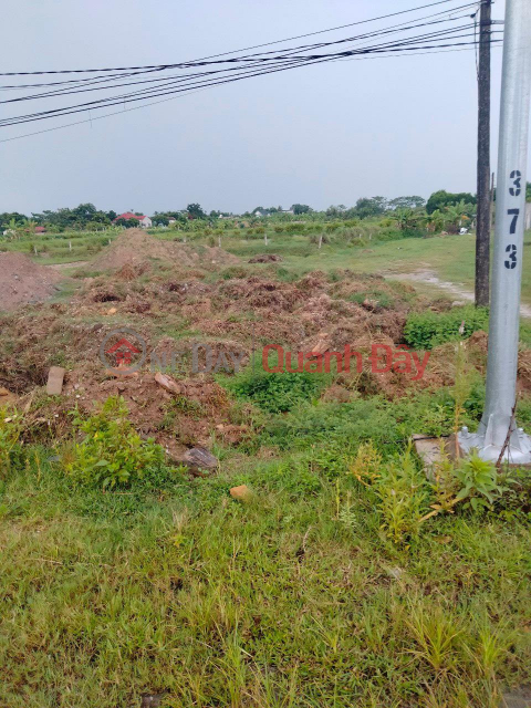 Immediately Own 2 Adjacent Lots of Land 150 m2 Extremely Beautiful Location In Hau Loc Thanh Hoa _0