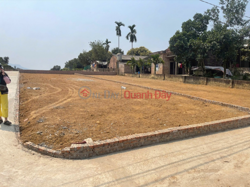 Chính chủ bán đất thôn Cẩm An, xã Cẩm Lĩnh, Ba Vì, Hà Nội - 232m2, , thích hợp đầu tư dài hạn Niêm yết bán