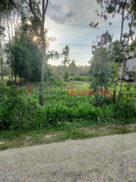 GENERAL FOR SALE IMMEDIATELY Land Lot Very Cheap Price In Hoa Son Commune - Krong Bong District - Dak Lak | Vietnam Sales đ 375 Million